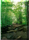Lake Placid Hike j.jpg (91197 bytes)