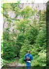 Lake Placid Hike q.jpg (109762 bytes)